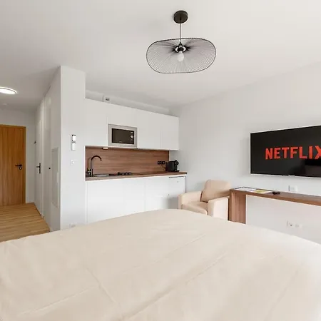 Sable - Centre - Appartement Albi