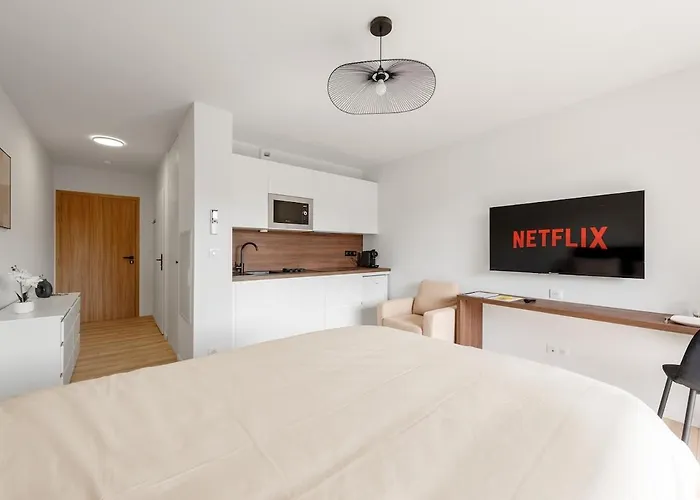 Sable - Centre - Appartement Albi