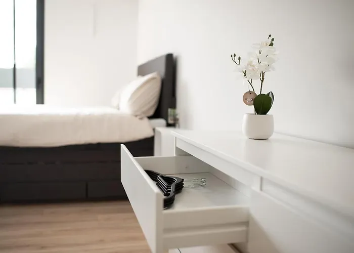 Appartement Sable - Centre - Albi